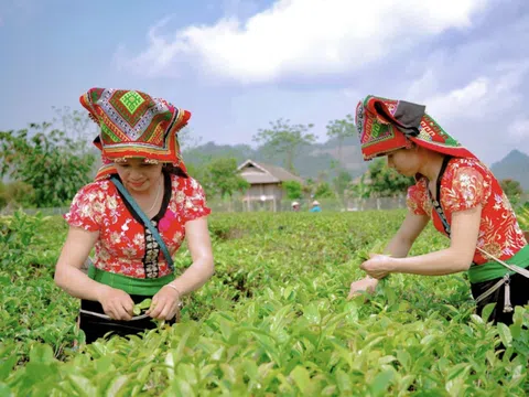 Xây dựng thương hiệu số cho địa phương - Góc nhìn quốc tế và bài học cho Việt Nam