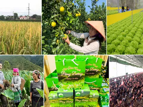 Vai trò của hệ thống chính trị cơ sở trong xây dựng giai cấp nông dân Việt Nam