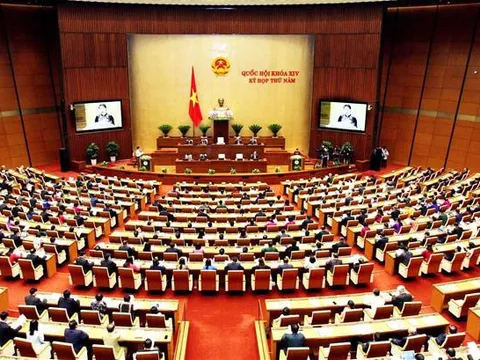 Quan điểm về quyền con người của Nhà nước pháp quyền xã hội chủ nghĩa Việt Nam