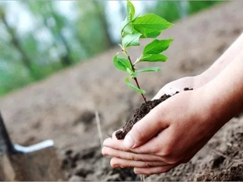 Bảo đảm an ninh môi trường với phát triển bền vững về xã hội