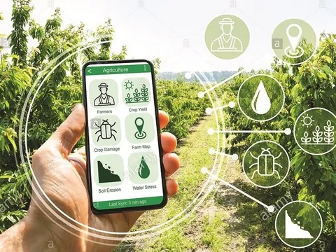 Nghị quyết số 57-NQ/TW về đột phá phát triển khoa học, công nghệ, đổi mới sáng tạo và chuyển đổi số quốc gia - Động lực phát triển nông nghiệp trong kỷ nguyên mới