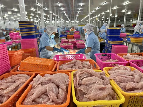 Kinh tế tư nhân - Động lực phát triển của Thành phố Hồ Chí Minh trong giai đoạn mới