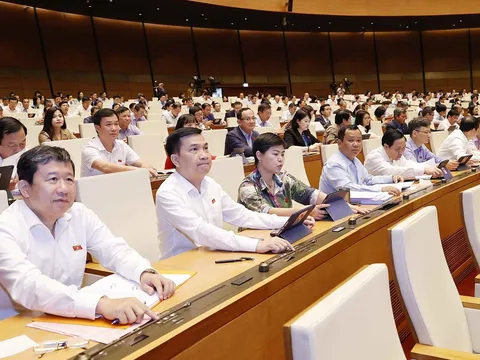Đặc trưng cơ bản của nhà nước pháp quyền xã hội chủ nghĩa Việt Nam