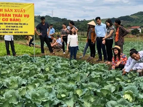 Liên kết phát triển nông nghiệp công nghệ cao, bền vững ở tỉnh Sơn La