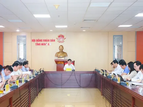 Vai trò của công tác kiểm tra, giám sát trong thực hiện xây dựng nông thôn mới ở tỉnh Nghệ An giai đoạn hiện nay