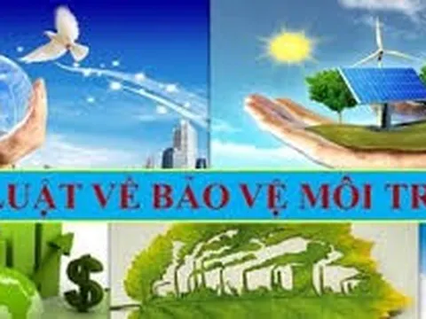 Hoàn thiện pháp luật bảo vệ môi trường đáp ứng yêu cầu phát triển kinh tế xanh trong bối cảnh hiện nay ở Việt Nam