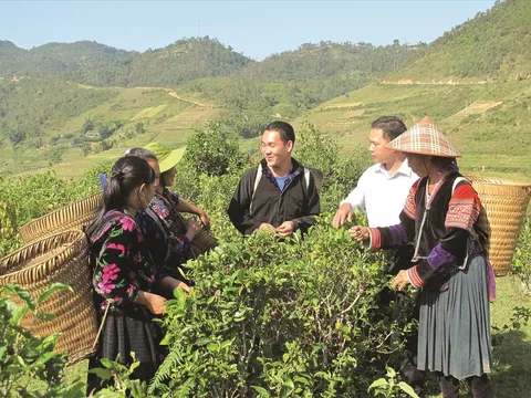 Thực hiện chính sách giảm nghèo đối với đồng bào dân tộc thiểu số trên địa bàn tỉnh Bình Phước