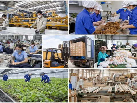 Biến đổi cơ cấu giai cấp công nhân ở tỉnh Lào Cai hiện nay: Thực trạng và giải pháp