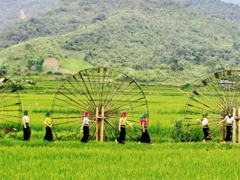 Vai trò của cộng đồng địa phương trong phát triển du lịch bền vững tại Quảng Bình