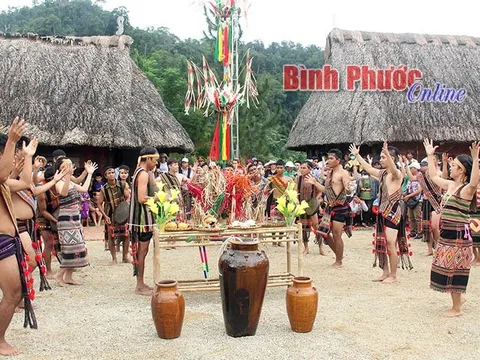 Thực hiện chính sách an sinh xã hội đối với đồng bào dân tộc thiểu số tỉnh Bình Phước: Thực trạng và giải pháp