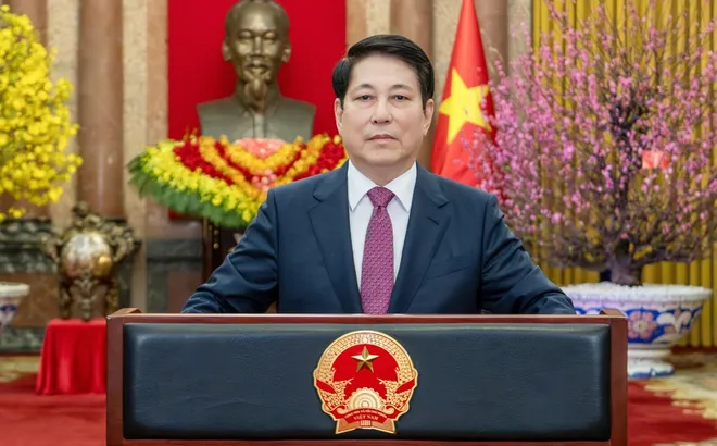 Thư chúc Tết Xuân Bính Ngọ 2026 của Chủ tịch nước Lương Cường